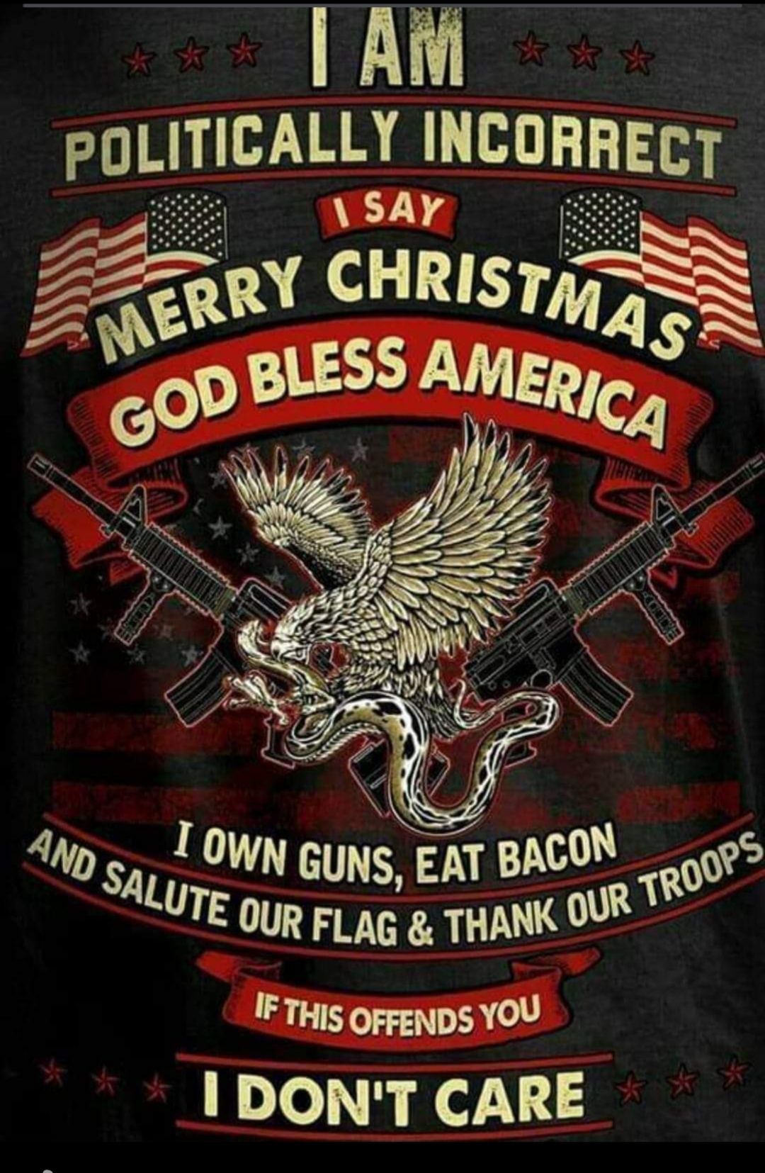 AW POLITICALLY INCORRECT el e I O o Wy s T OWN GUNS EAT BACON 0095 s ALure OUR FLAG THANK OV IF THIS OFFENDS YOY IDONT CARE