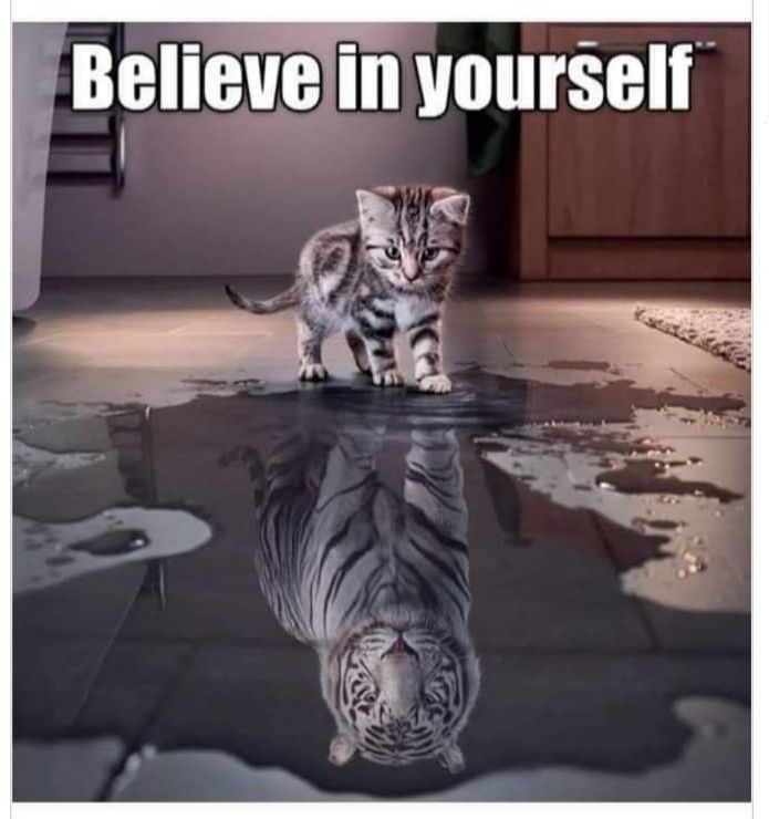 Believelinyourself i