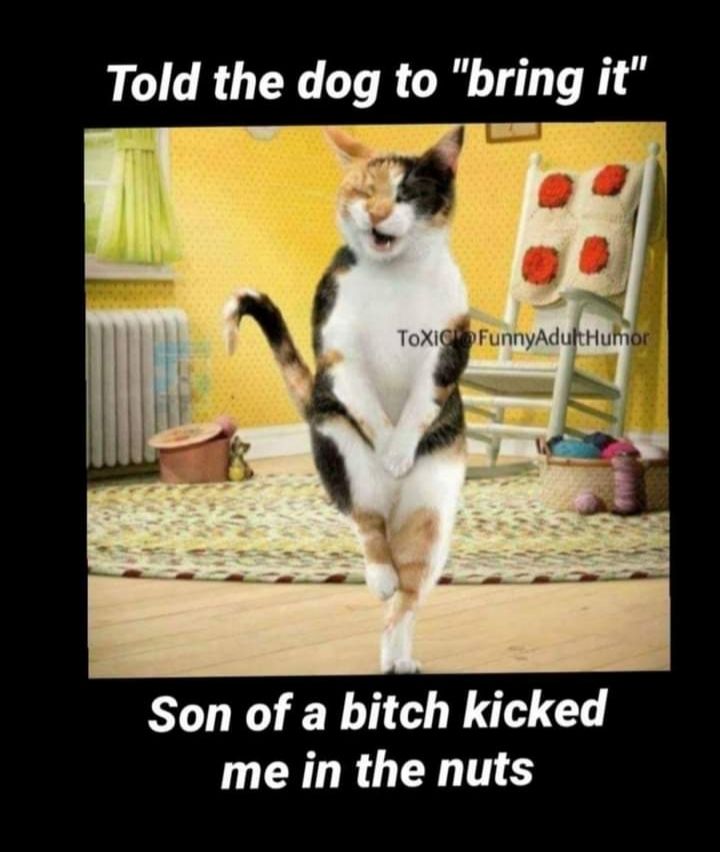 Told the dog to brmg it Son of a bitch kicked YR ELTS