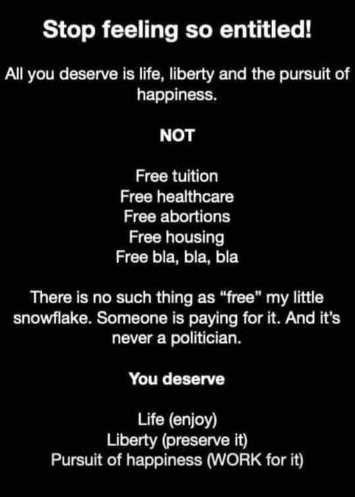 Stop feeling so entitled All you deserve is life liberty and the pursuit of happiness NOT ZCERU FCENEET Gl S CER olelgiles Free housing Free bla bla bla There is no such thing as free my little STl UM To Ty TTe T TR o VT To R o Tl Y To B 653 never a politician You deserve RCY G0 Liberty preserve it Pursuit of happiness WORK for it