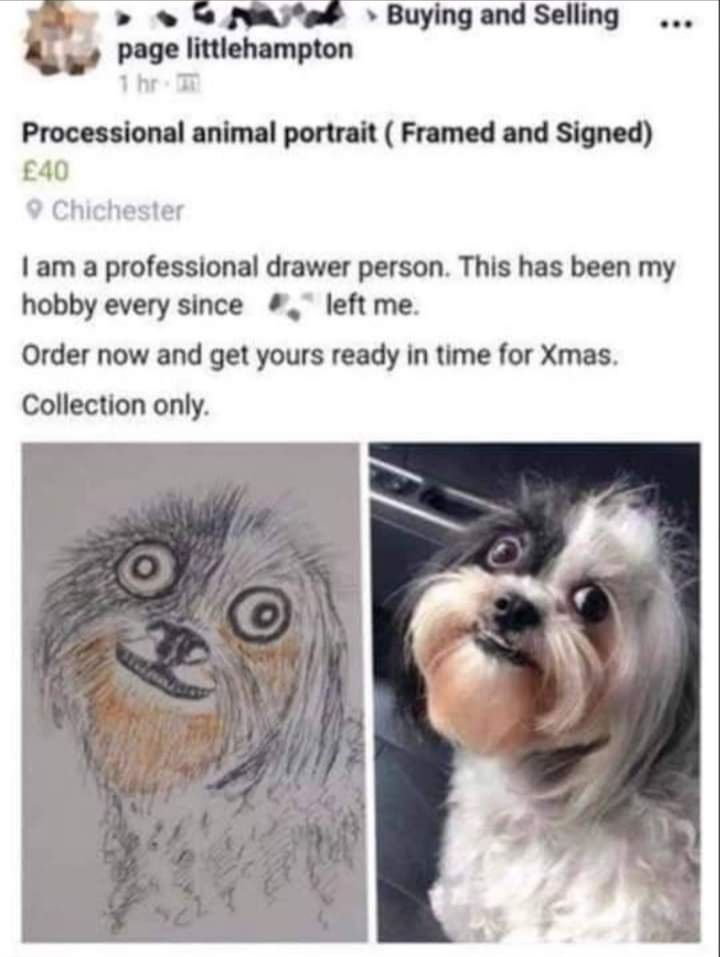 By S P Buying and Selling kpmlnthammn Processional animal portrait Framed and Signed 40 Chichester am a professional drawer person This has been my hobby every since left me Order now and get yours ready in time for Xmas Collection only