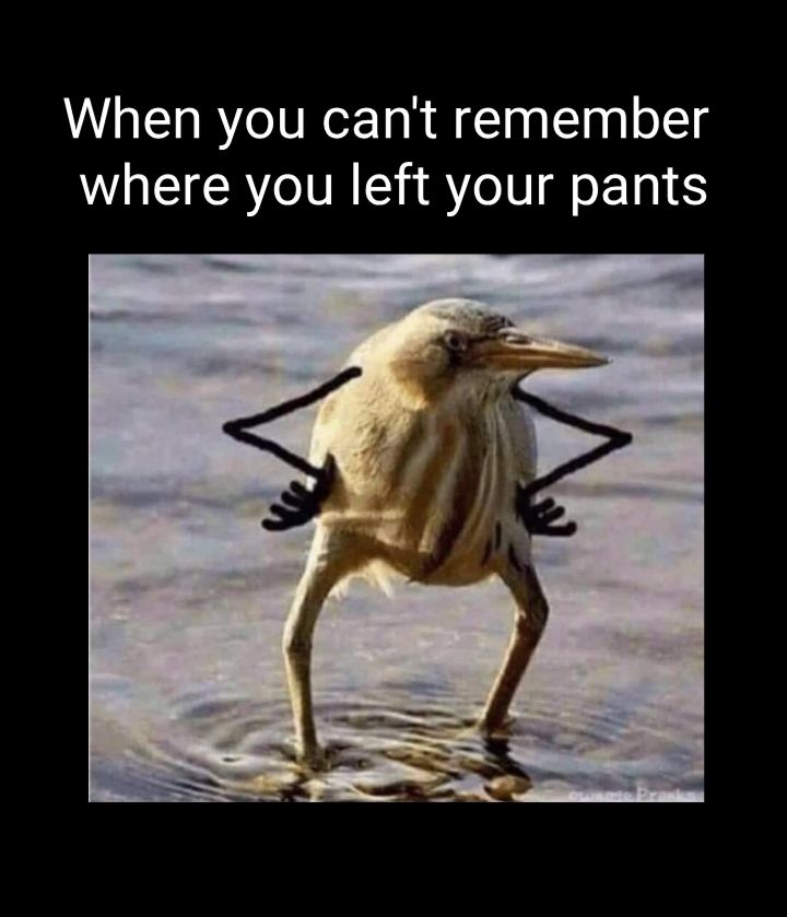 When you cant remember where you left your pants