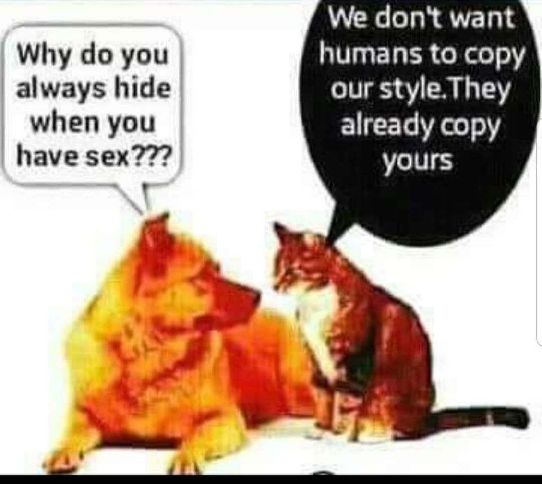 Why do you always hide when you have sex7 We dont want humans to copy our styleThey already copy yours