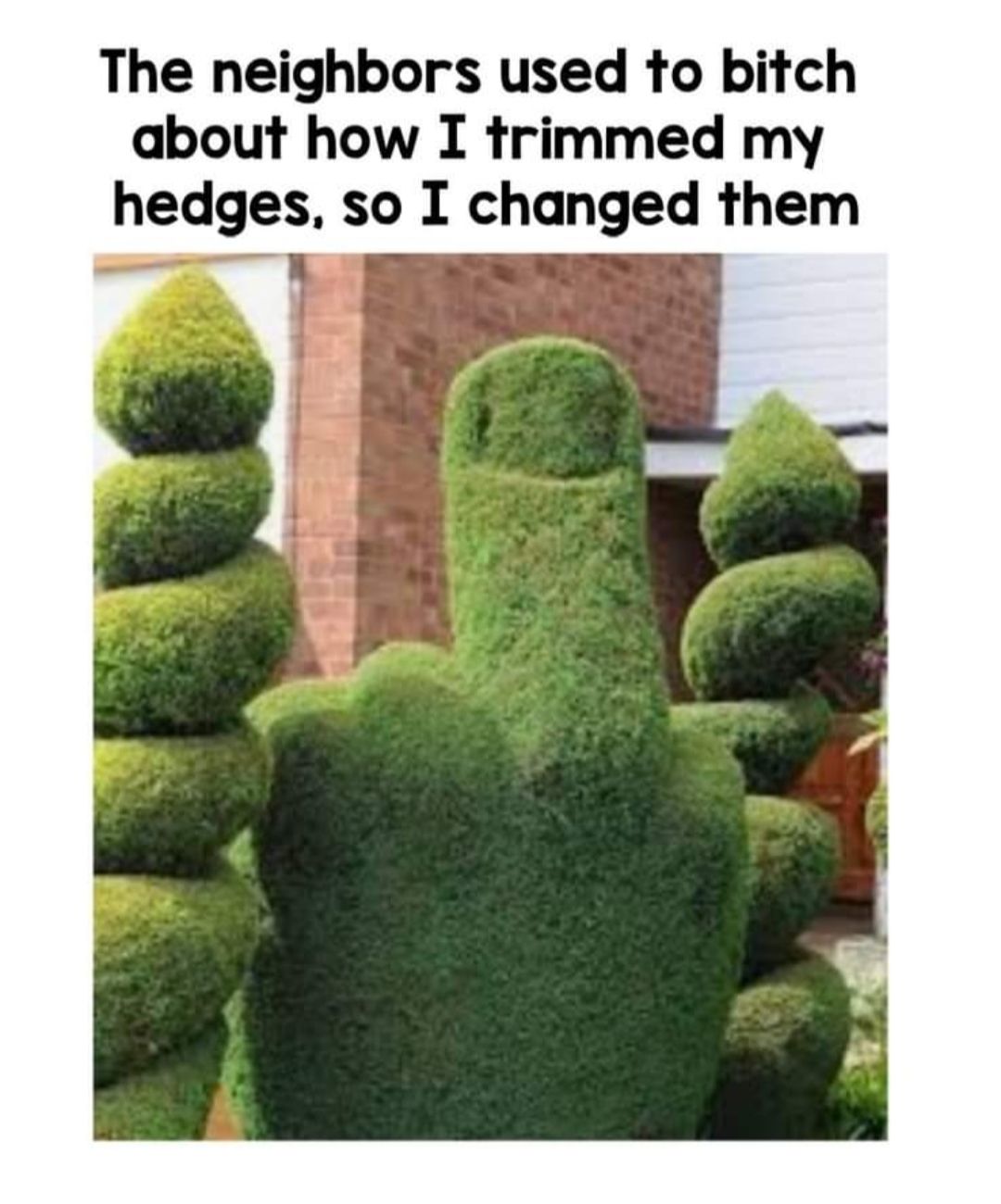 The neighbors used to bitch about how I trimmed my hedges so I changed them