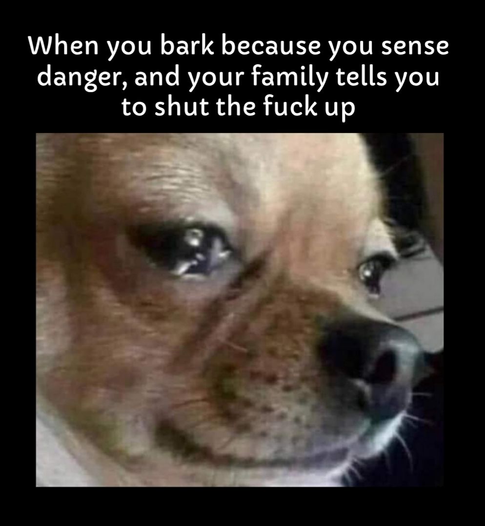 When you bark because you sense o EV LI Vo Te RV TPT 10 T AVA XA ERVIeTY to shut the fuck up