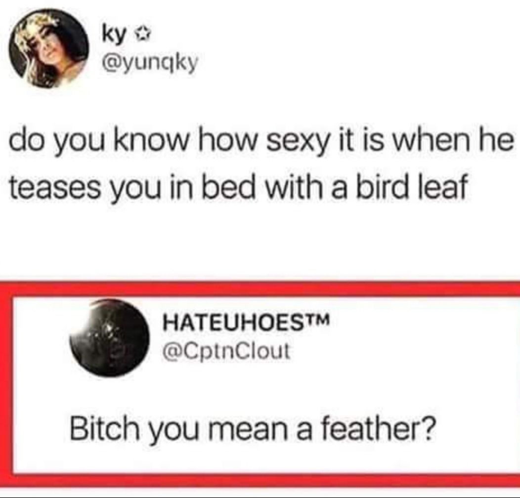 ky yunqky do you know how sexy it is when he teases you in bed with a bird leaf HATEUHOES CptnClout Bitch you mean a feather