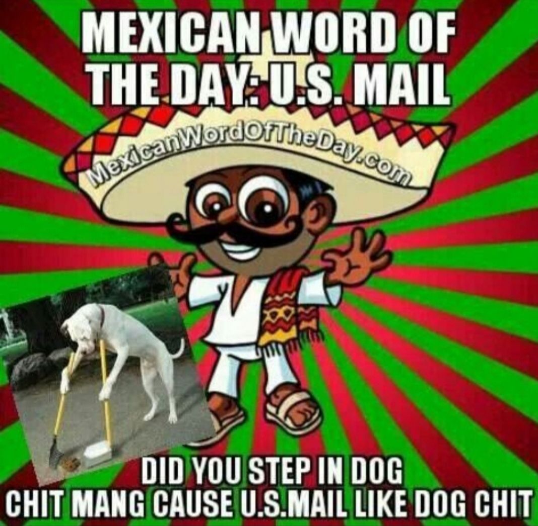 MENIEANM ORD 13 LL DAY US MAIL a 2 DID YOUSTEP IN DOG CHIT MANG CAUSE USMAIL LIKE DOG CHIT