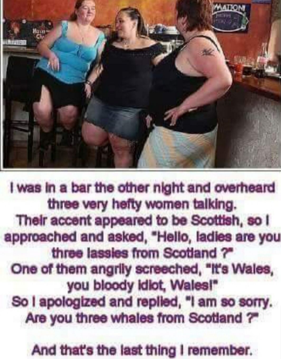 was In a bar the other night and overheard three very hefty women talking Their accent appeared to be Scottish so approached and asked Hello ladies are you three lassies from Scotland 7 One of them angrily screeched Its Wales you bloody idiot Wales So apologized and replied am so sorry Are you three whales from Scotland 7 And thats the last thing remember