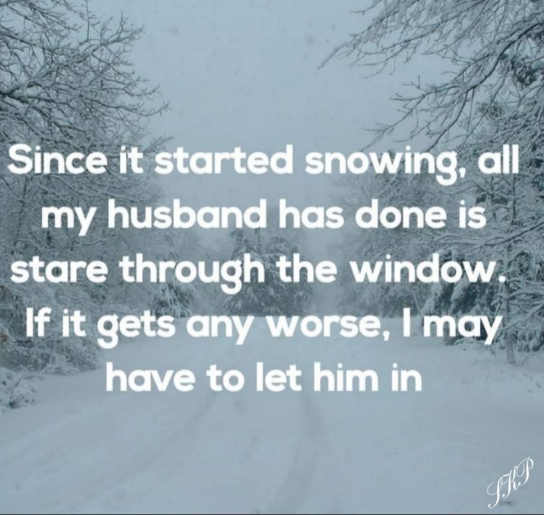 Since it started showing all 0 gIVE o Te aTo ll o Vo 0o o o TR ES stare through the window If it gets any worse may have to let him in i