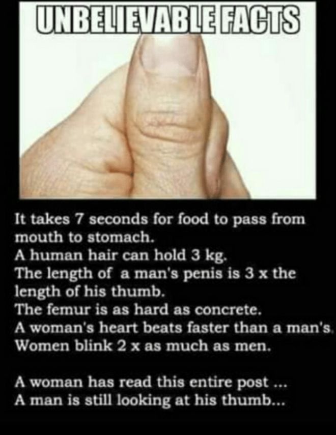 EE_S It takes 7 seconds for food to pass from mouth to stomach A human hair can hold 3 kg The length of a mans penis is 3 x the length of his thumb The femur is as hard as concrete A womans heart beats faster than a mans Women blink 2 x as much as men A woman has read this entire post A man is still looking at his thumb