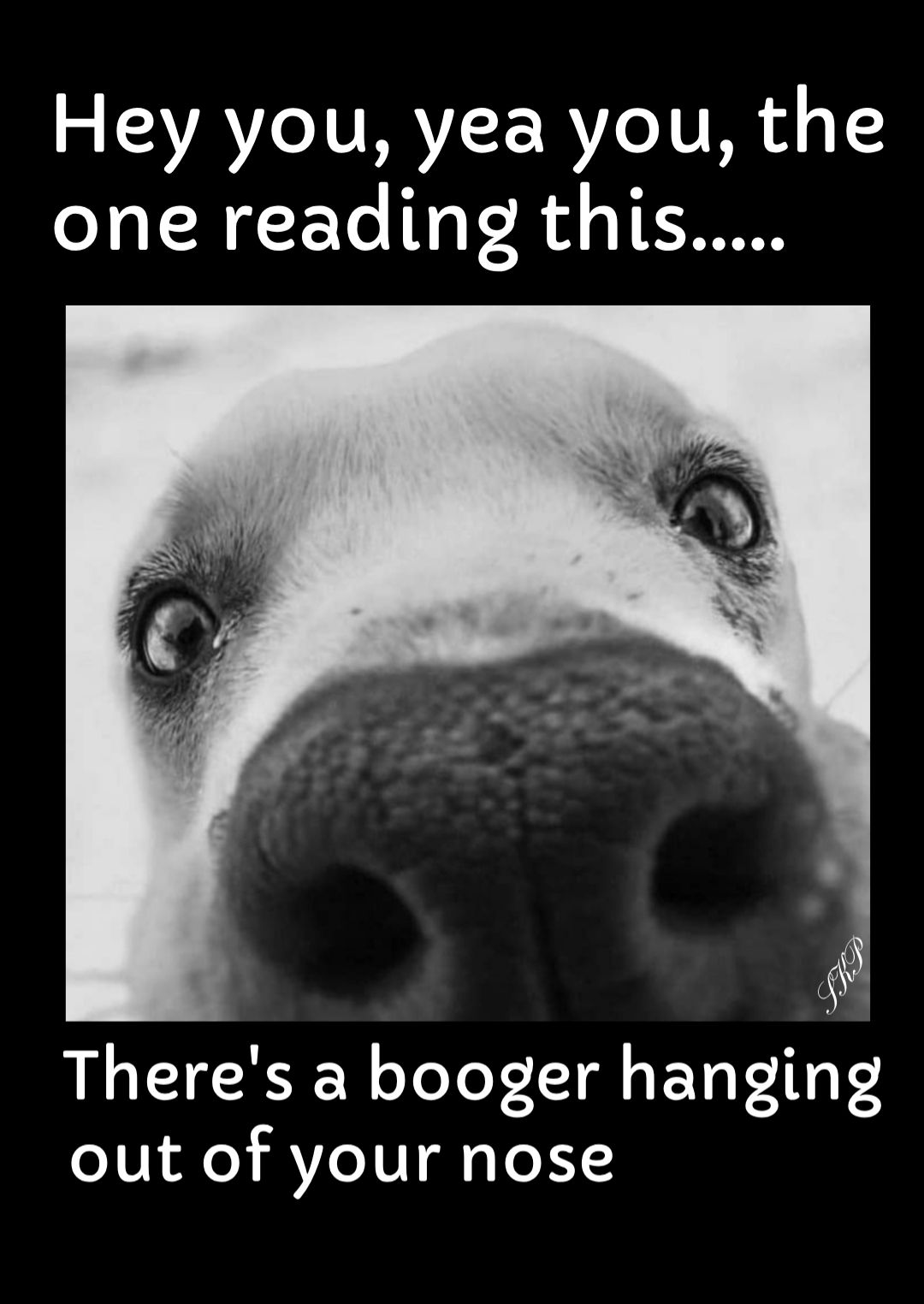 Hey you yea you the one reading this Theres a booger hanging out of your nose