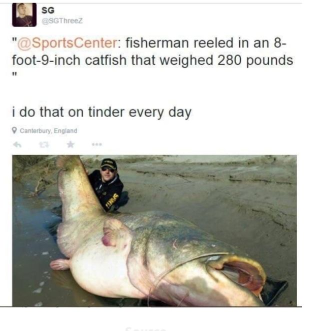 i r fisherman reeled in an 8 foot 9 inch catfish that weighed 280 pounds i do that on tinder every day