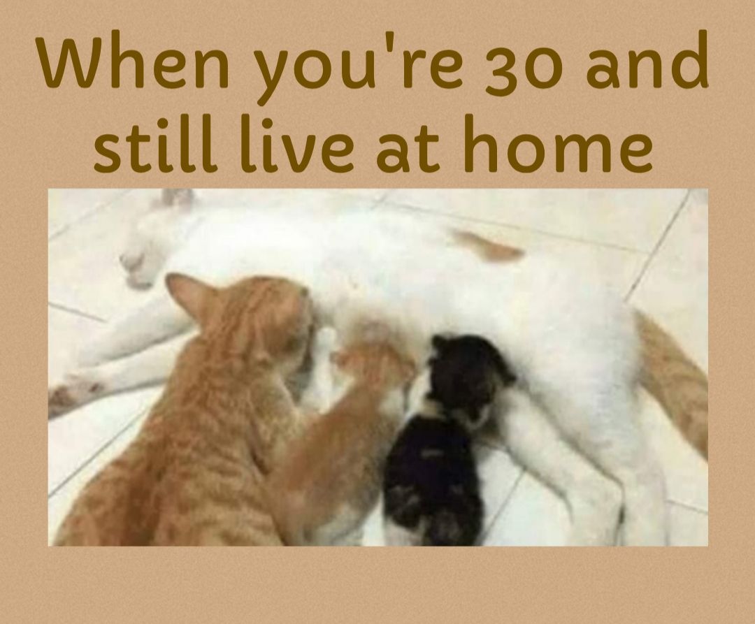 When youre 30 and still live at home