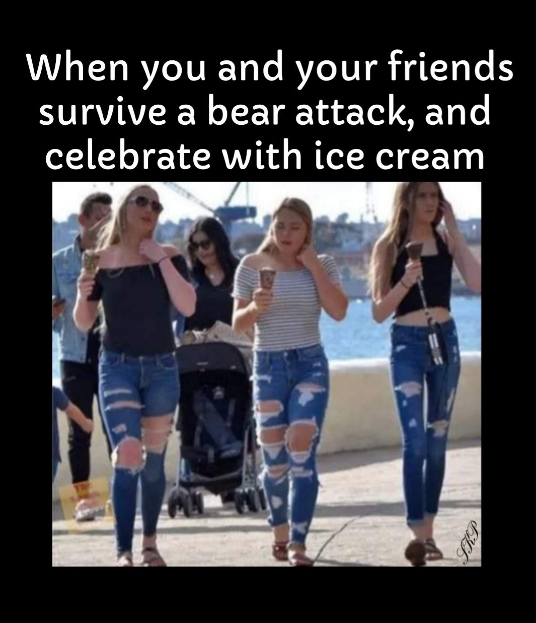 When you and your friends survive a bear attack and celebrate with ice cream