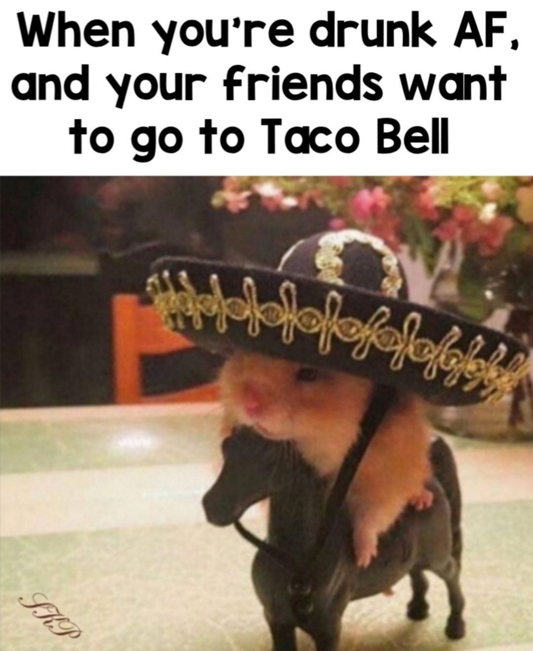 When youre drunk AF and your friends want to go to Taco Bell