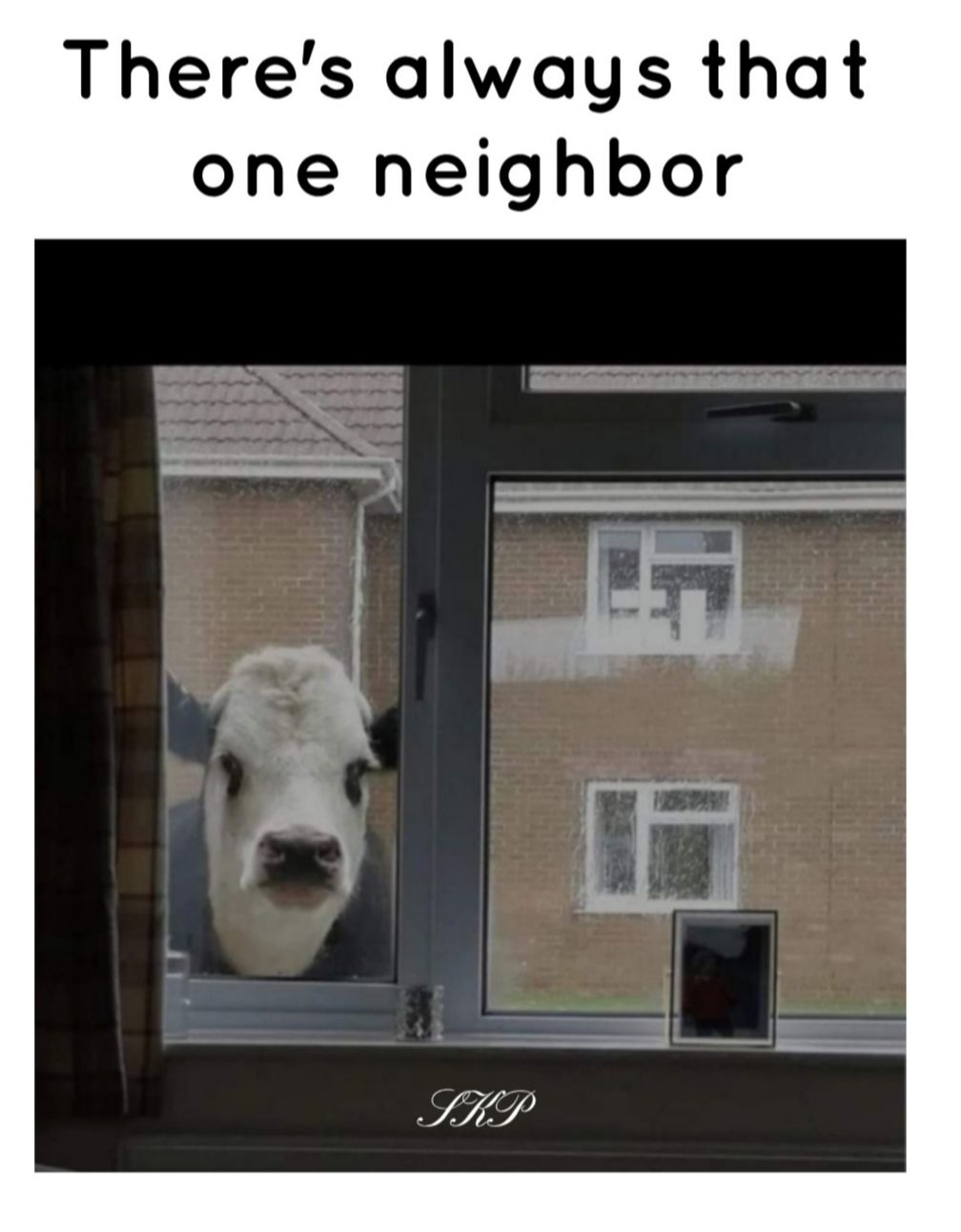 Theres always that one neighbor