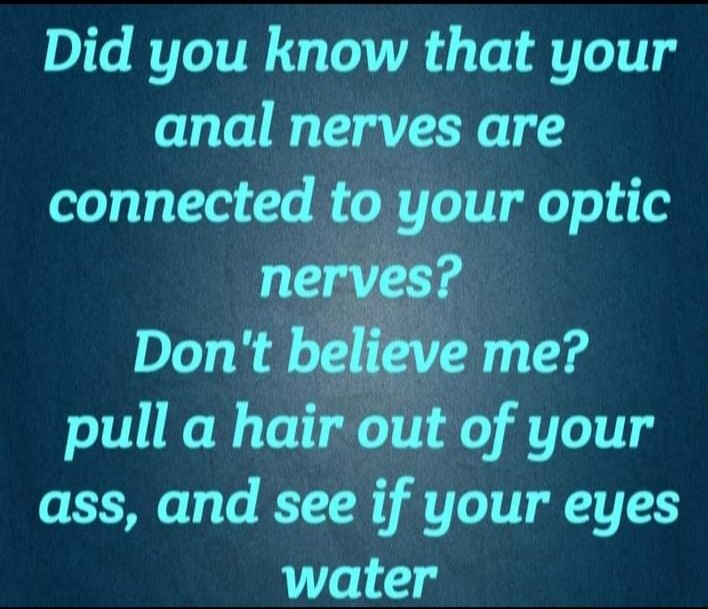 Did you know that your anal nerves are connected to your optic nerves Dont believe me pull a hair out of your ass and see if your eyes water