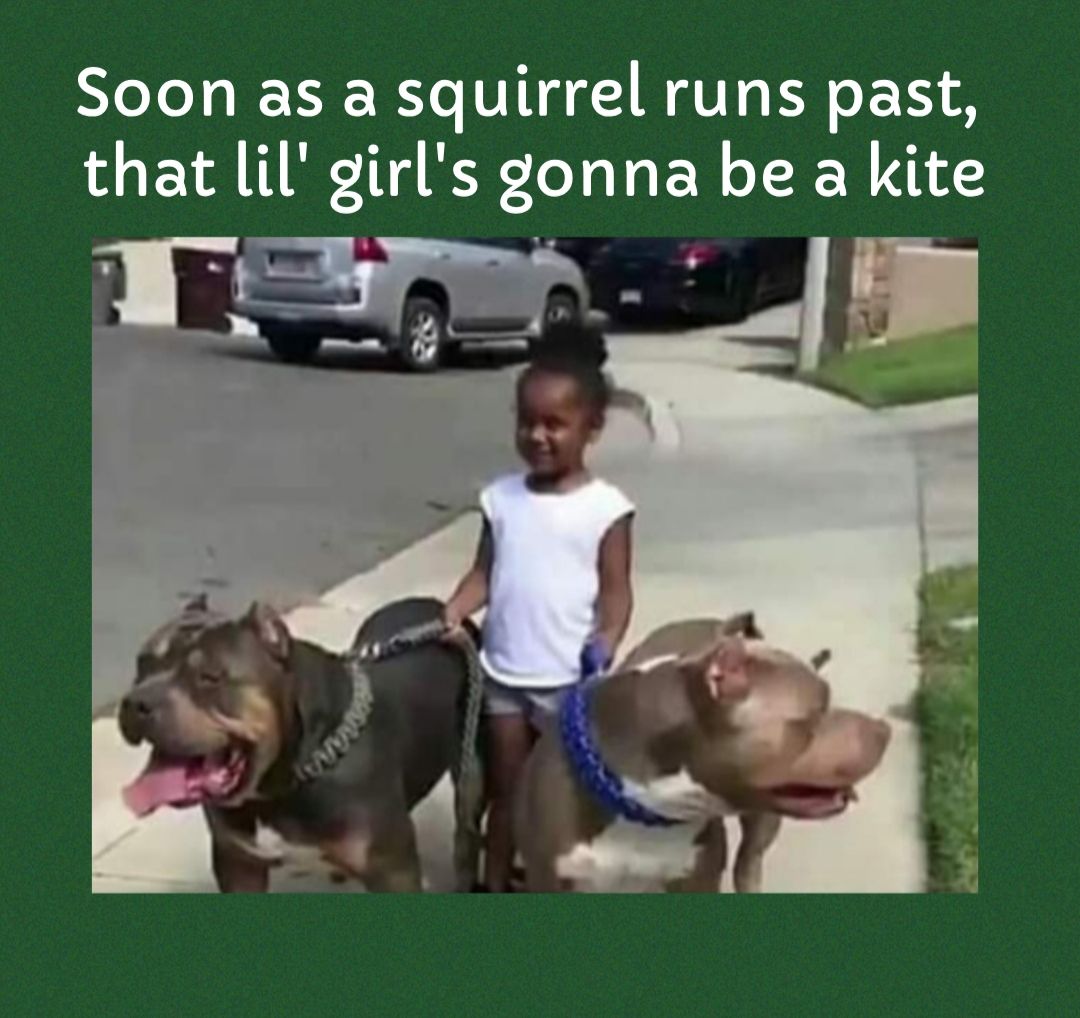 Soon as a squirrel runs past that lil girls gonna be a kite