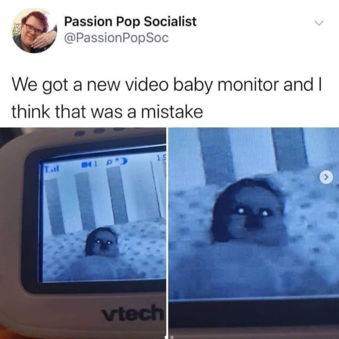 Passion Pop Socialist PassionPopSoc We got a new video baby monitor and think that was a mistake