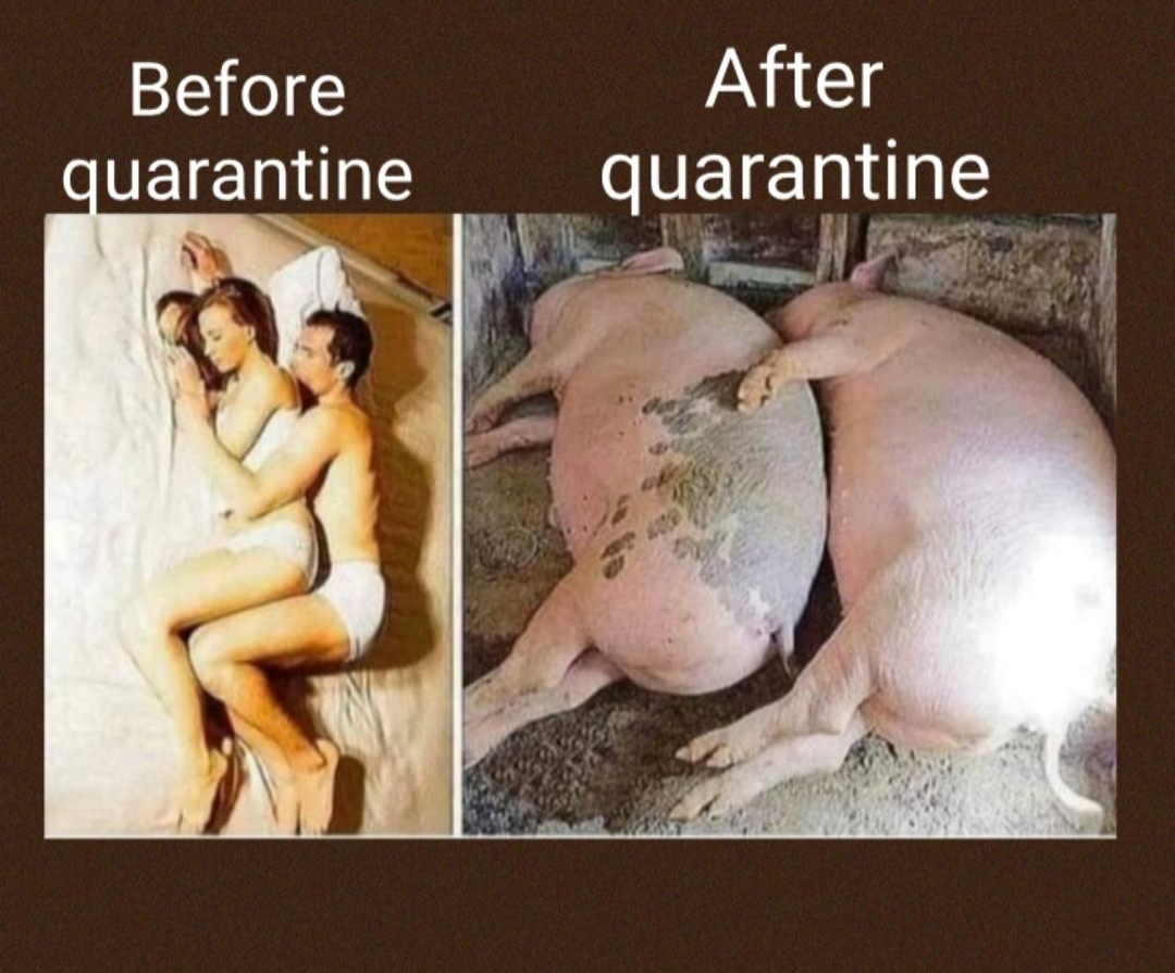 Before After sPEIEIIE quarantlne BV e Nge 3