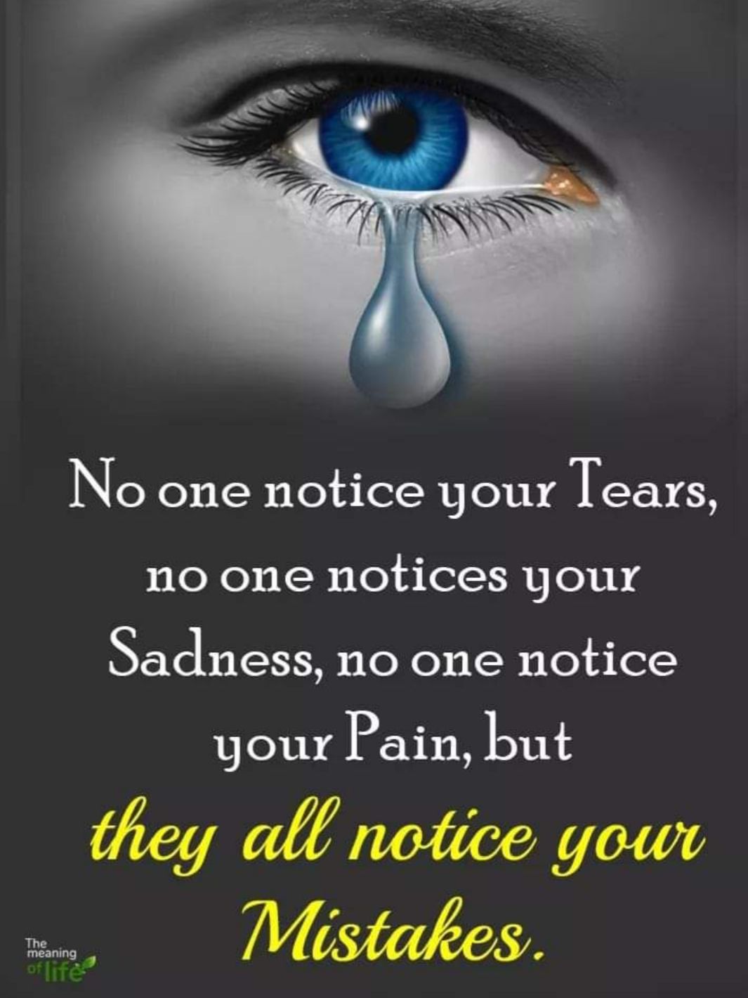 No one notice your ears no one notices your Sadness no one notice your Pain but they all notice gouwr