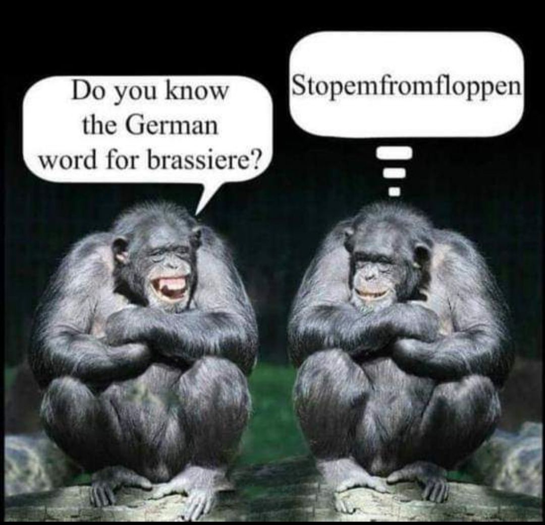 Do vou know Stopemfromfloppen the German word for brassiere