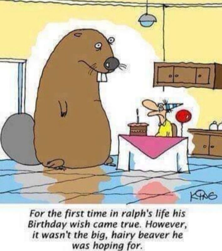 For the first time in ralphs life his Birthday wish came true However it wasnt the big hairy beaver he was hoping for