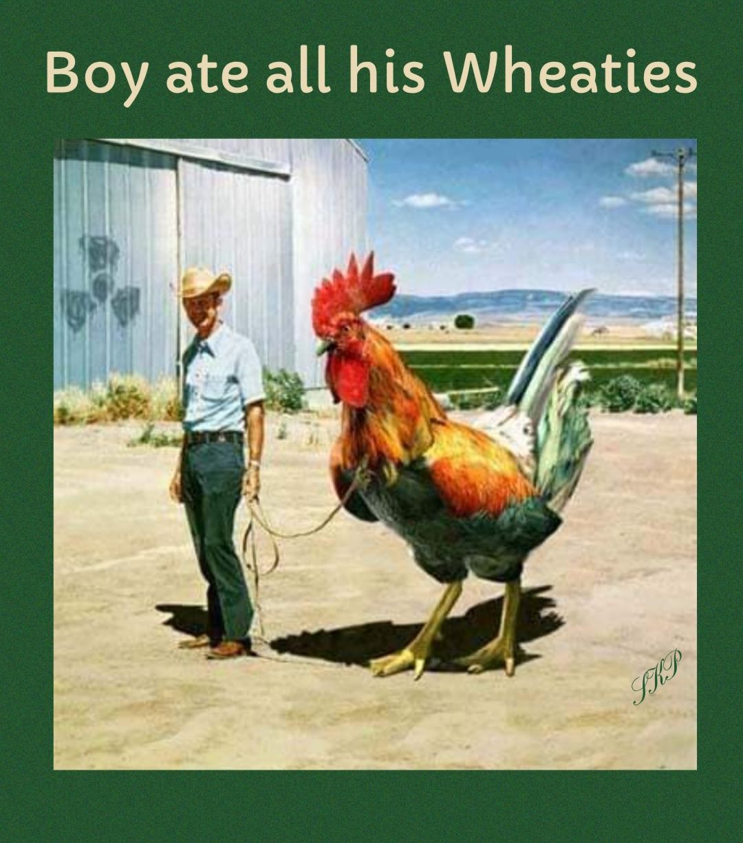 Boy ate all his Wheaties