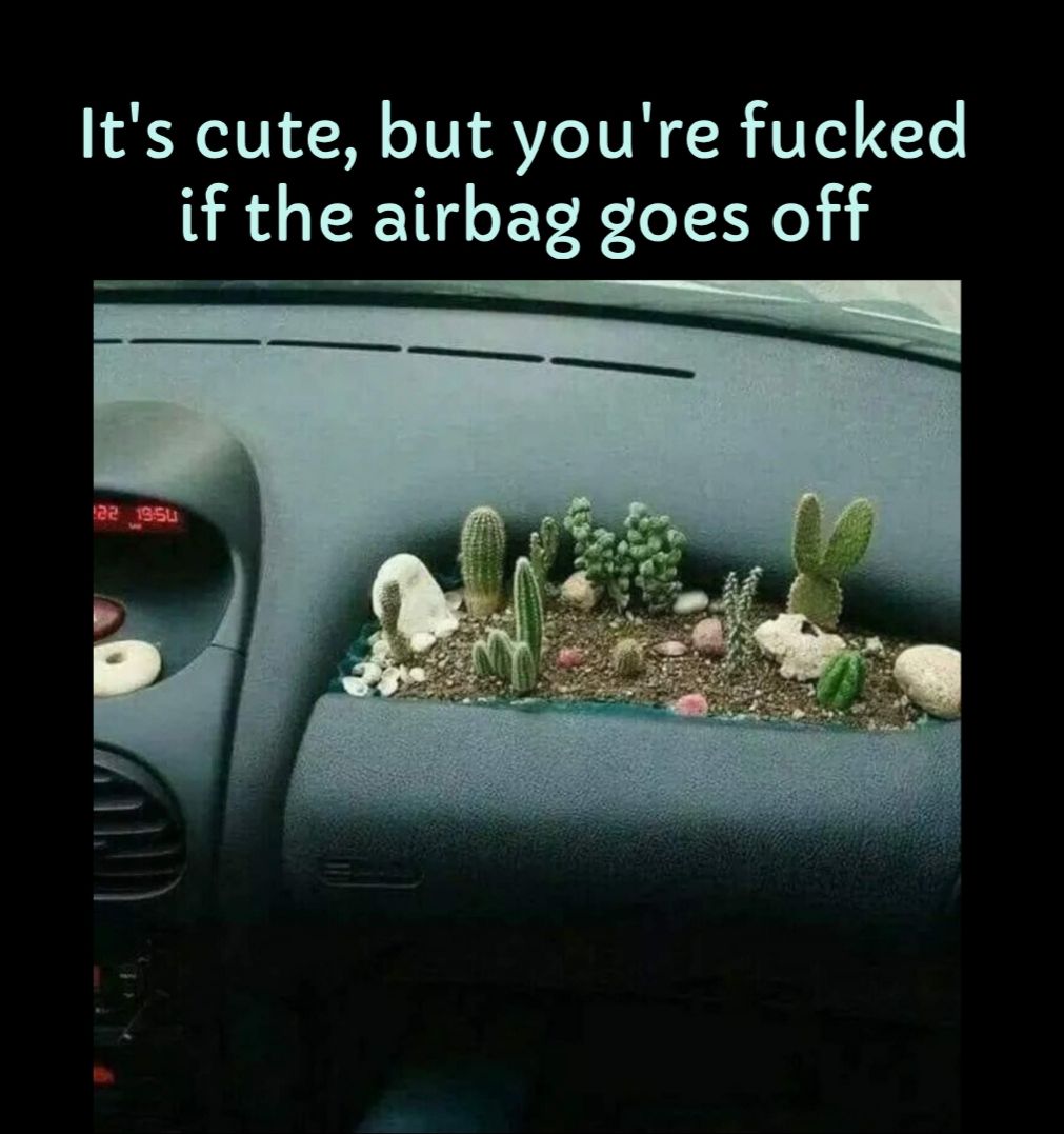 Its cute but youre fucked if the airbag goes off