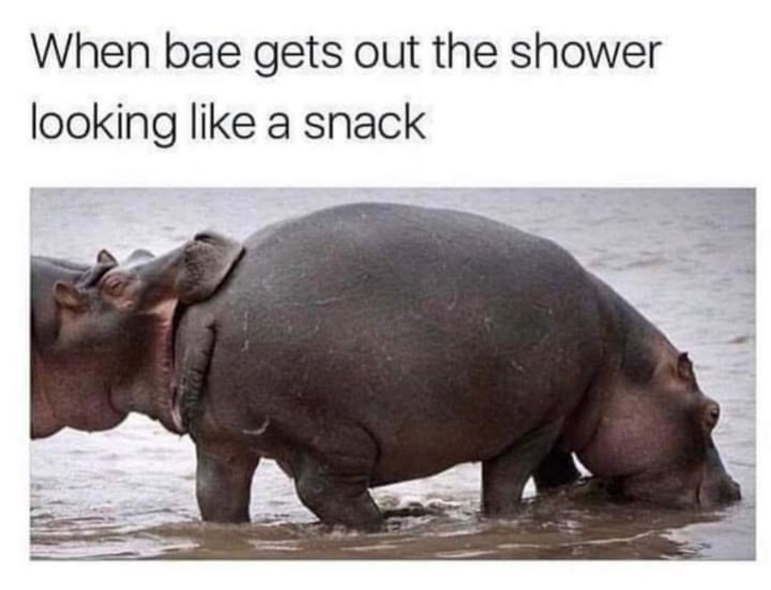 When bae gets out the shower looking like a snack