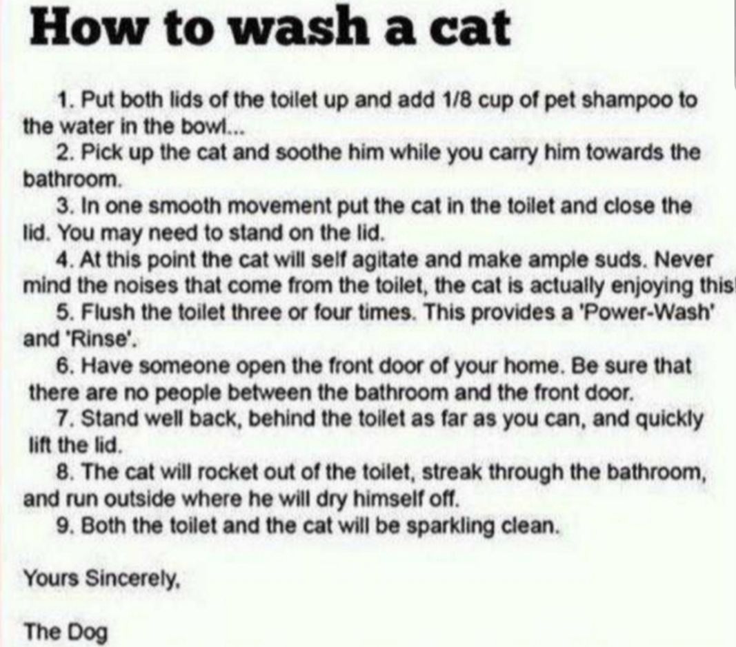 How to wash a cat 1 Put both lids of the toilet up and add 18 cup of pet shampoo to the water in the bowi 2 Pick up the cat and soothe him while you carry him towards the bathroom 3 In one smooth movement put the cat in the toilet and close the lid You may need to stand on the lid 4 At this point the cat will self agitate and make ample suds Never mind the noises that come from the toilet the cat 