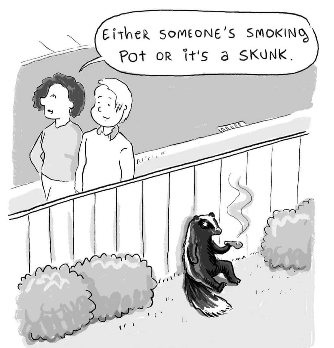 githeR SOMEONES SMOKING Pot orR Tts 3 SKUNK