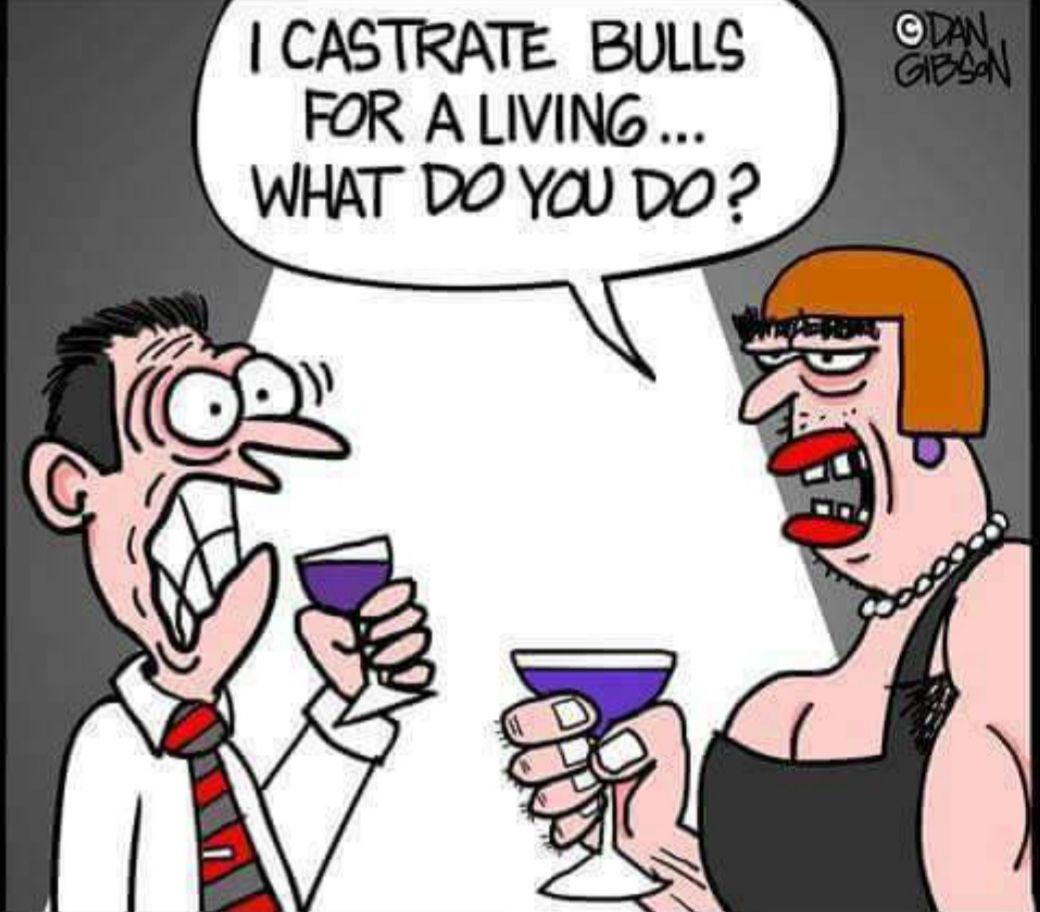 CASTRATE BULLS FOR ALIVING WHAT DO YAU DO 2