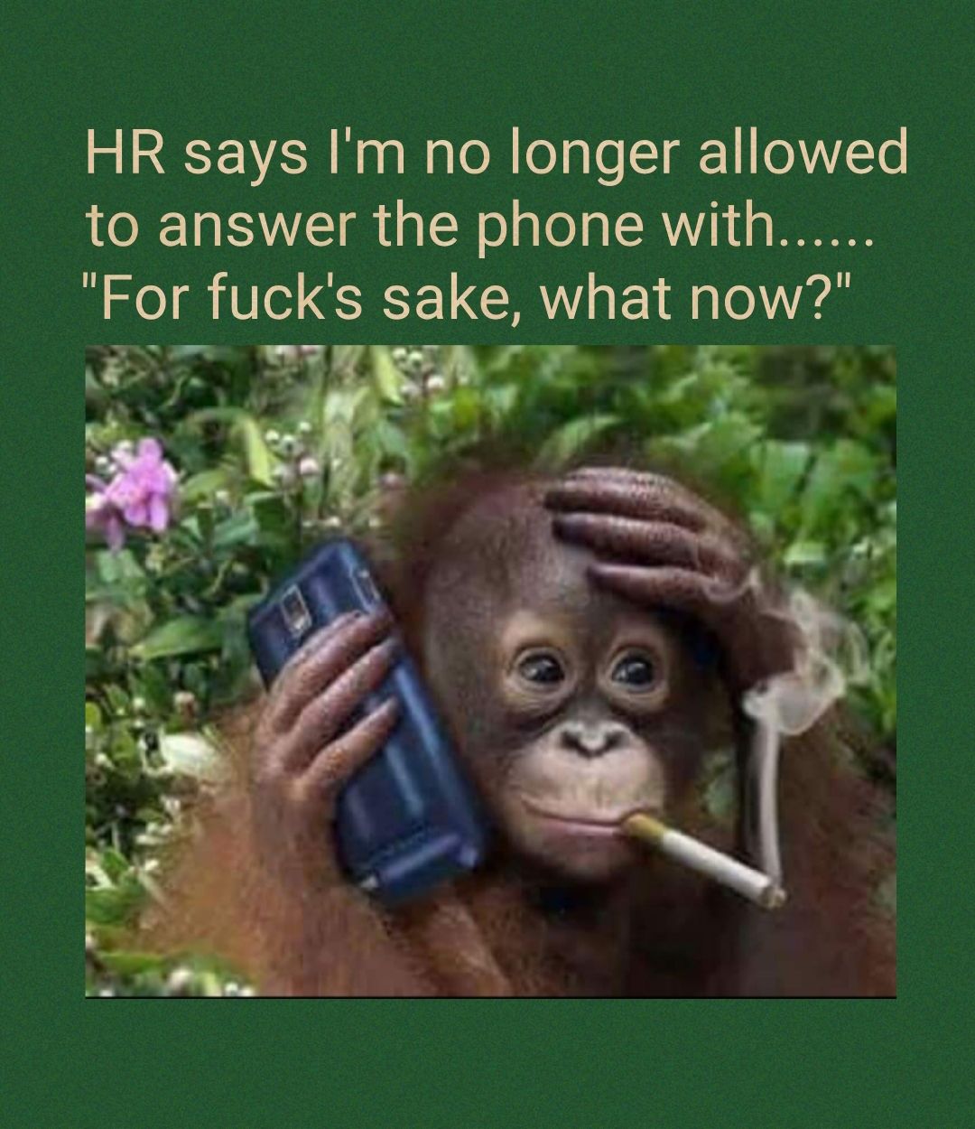 HR says Im no longer allowed to answer the phone with For fucks sake what now J C2 4 aay