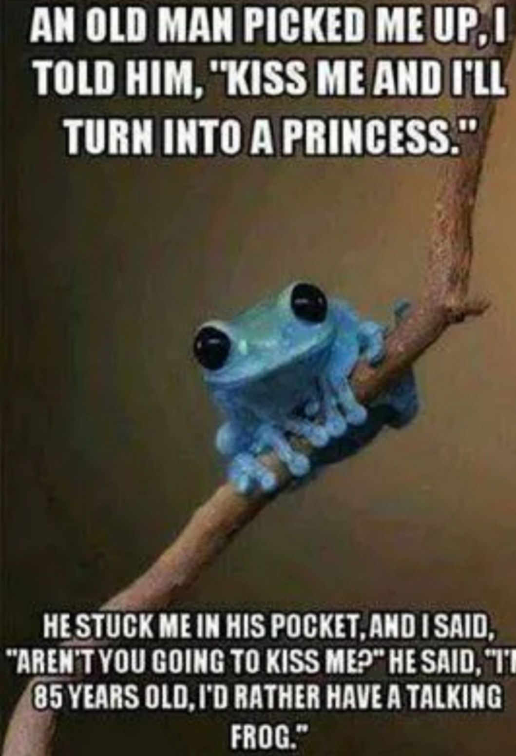 AN OLD MAN PICKED ME UP TOLD HIM KISS ME AND ILL TURN INTO A PRINCESS HESTUCK ME IN HIS POCKET AND SAID ARENT YOU GOING TO KISS MEP HE SAID Tl 85 YEARS OLD ID RATHER HAVE A TALKING FROG