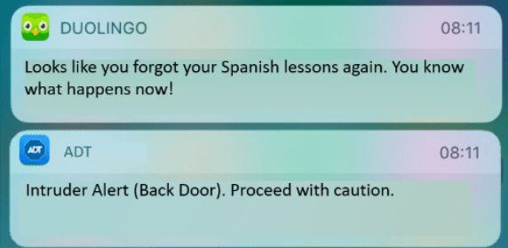 DUOLINGO 0811 Looks like you forgot your Spanish lessons again You know what happens now 8 Intruder Alert Back Door Proceed with caution 0811