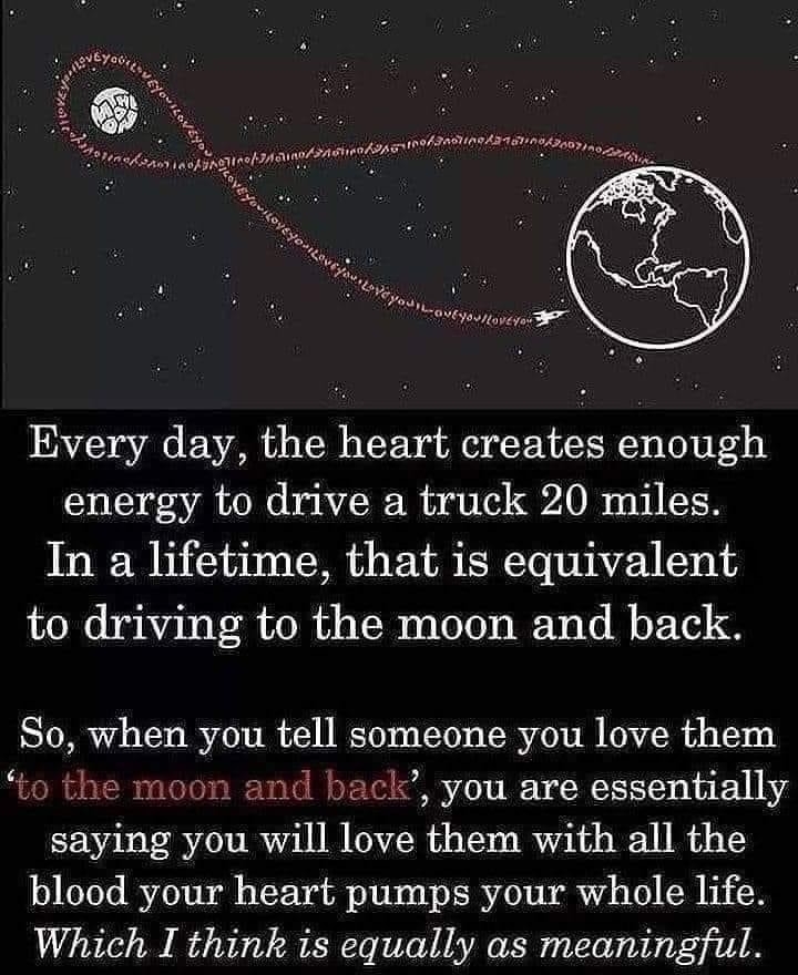 Every day the heart creates enough energy to drive a truck 20 miles In a lifetime that is equivalent 7o kg e Vel wola Lol e aTolo s BN o Lo M oX1 8 So when you tell someone you love them to the moon and back you are essentially saying you will love them with all the blood your heart pumps your whole life Which I think is equally as meaningful