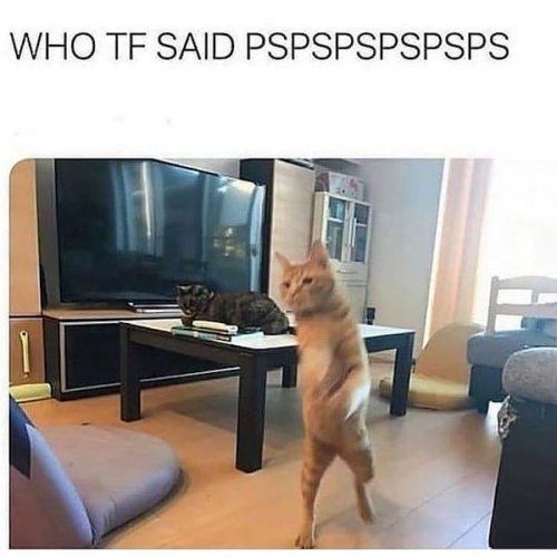 WHO TF SAID PSPSPSPSPSPS