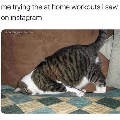 me trying the at home workouts i saw on instagram