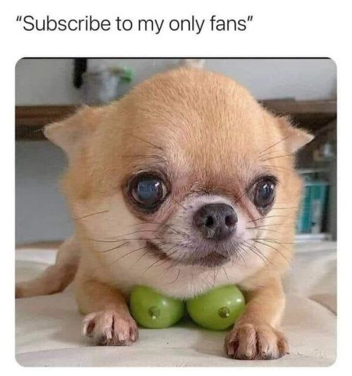 Subscribe to my only fans