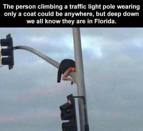 The person climbing a traffic light pole wearing only a coat could be anywhere but deep down LCEUNGITRGEEICE LN AL GEN