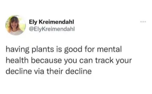 Ely Kreimendahl ElyKreimendahl having plants is good for mental health because you can track your decline via their decline