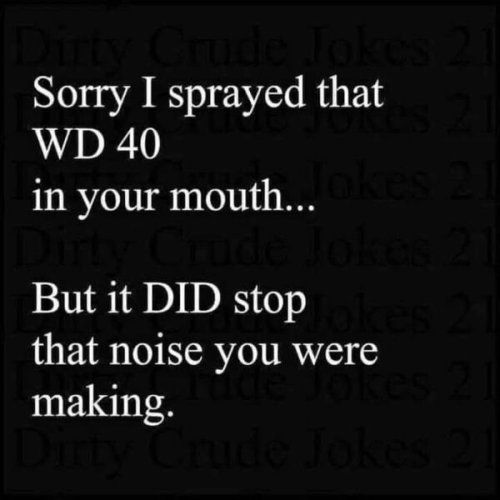 Sorry I sprayed that WD 40 in your mouth But it DID stop that noise you were making