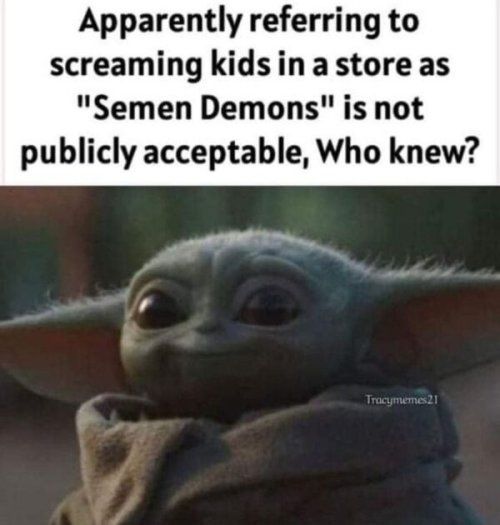 Apparently referring to screaming kids in a store as Semen Demons is not publicly acceptable Who knew