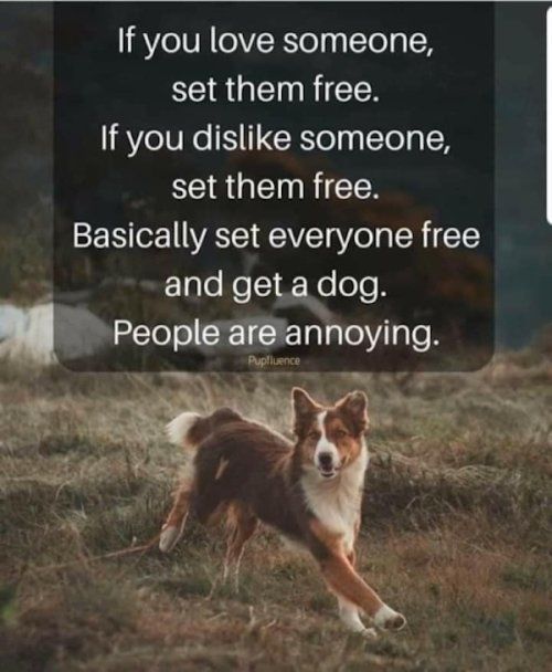 If you love someone set them free If you dislike someone set them free Basically set everyone free ElaleNe1NeloTeR ag Peoplsannoying an P