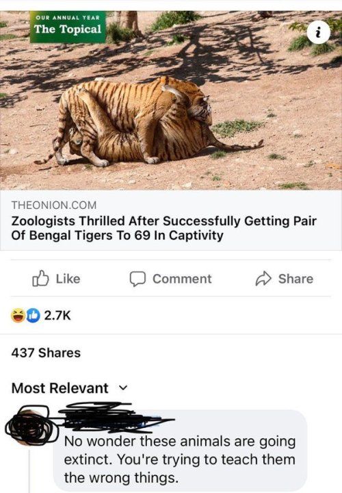 THEONIONCOM Zoologists Thrilled After Successfully Getting Pair Of Bengal Tigers To 69 In Captivity oY Like I comment Share D27k 437 Shares Most Relevant v 6 No wonder these animals are going extinct Youre trying to teach them the wrong things