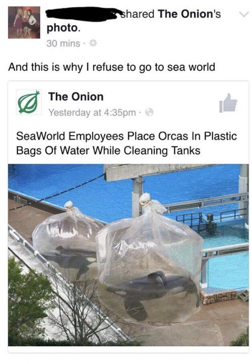 hared The Onions And this is why refuse to go to sea world The Onion Yesterday at 435pm SeaWorld Employees Place Orcas In Plastic Bags Of Water While Cleaning Tanks