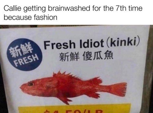 Callie getting brainwashed for the 7th time because fashion Fresh Idiot kinki i 2R