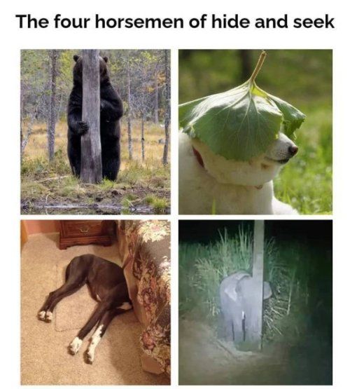 The four horsemen of hide and seek