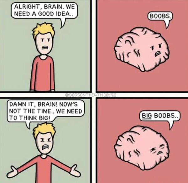 DAMN IT BRAIN NOWS NOT THE TIME WE NEED T0 THINK BIG BIG BOOBS